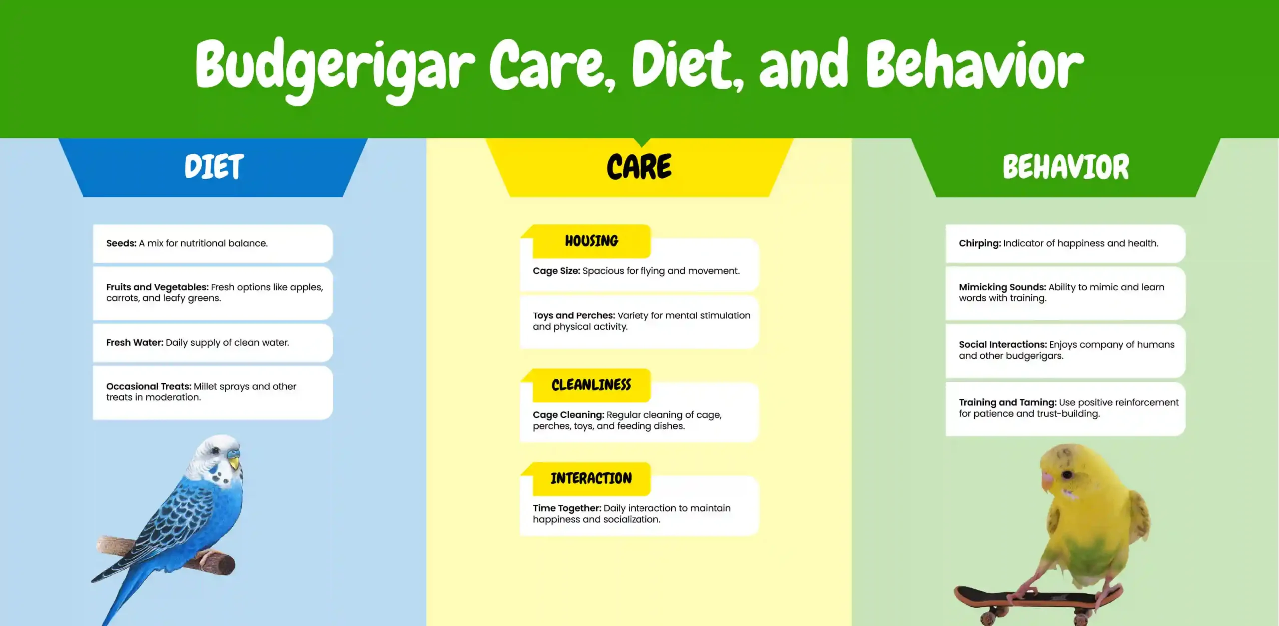 Infographic on <a href=