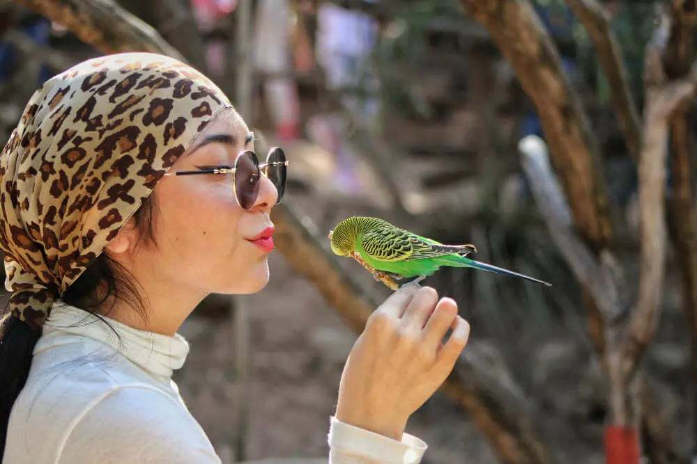 Woman offering a treat to a green budgerigar outdoors.