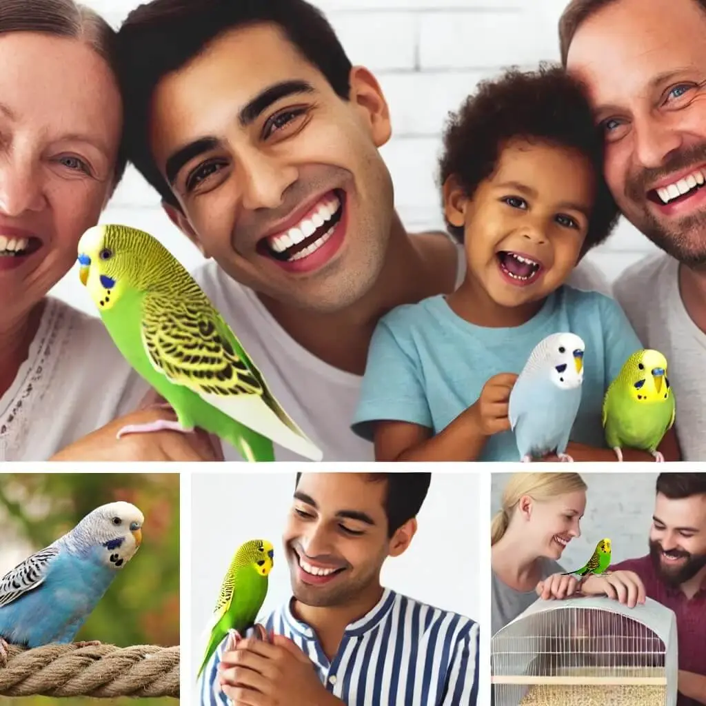 Collage of happy families with their adopted budgerigars.